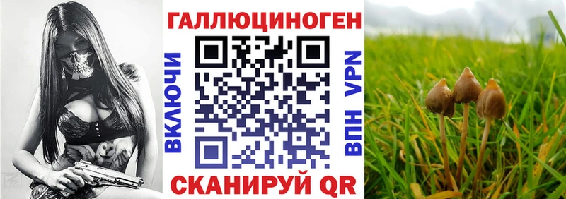 hydra   Тула  Галлюциногенные грибы MAGIC MUSHROOMS 